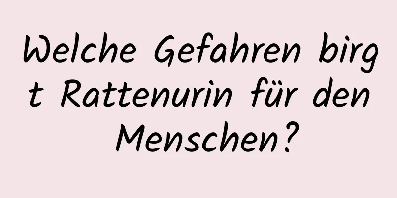 Welche Gefahren birgt Rattenurin für den Menschen?