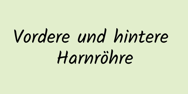 Vordere und hintere Harnröhre