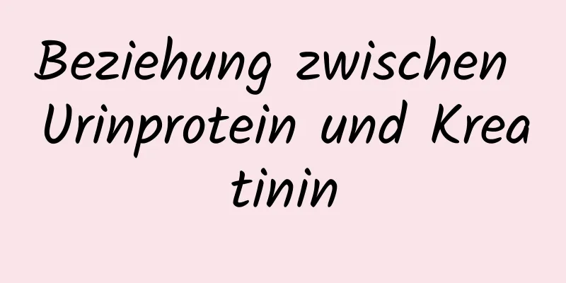 Beziehung zwischen Urinprotein und Kreatinin