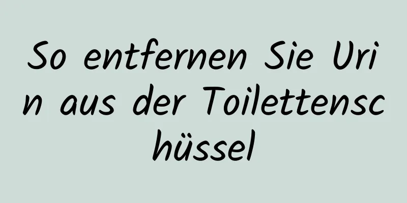So entfernen Sie Urin aus der Toilettenschüssel
