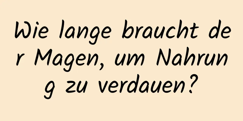 Wie lange braucht der Magen, um Nahrung zu verdauen?