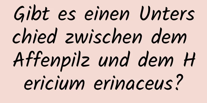 Gibt es einen Unterschied zwischen dem Affenpilz und dem Hericium erinaceus?