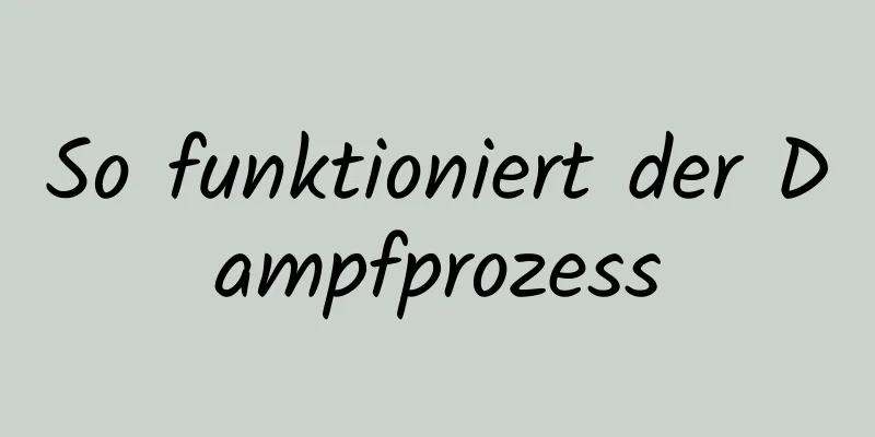 So funktioniert der Dampfprozess