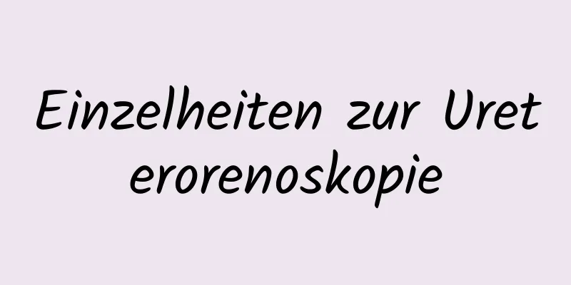 Einzelheiten zur Ureterorenoskopie