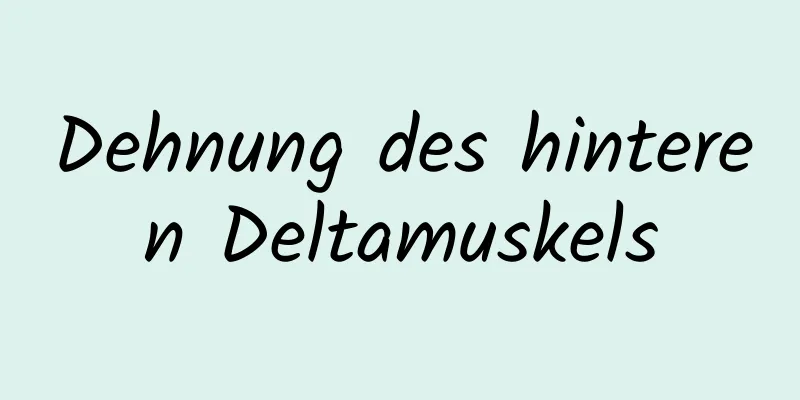 Dehnung des hinteren Deltamuskels