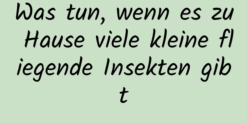 Was tun, wenn es zu Hause viele kleine fliegende Insekten gibt