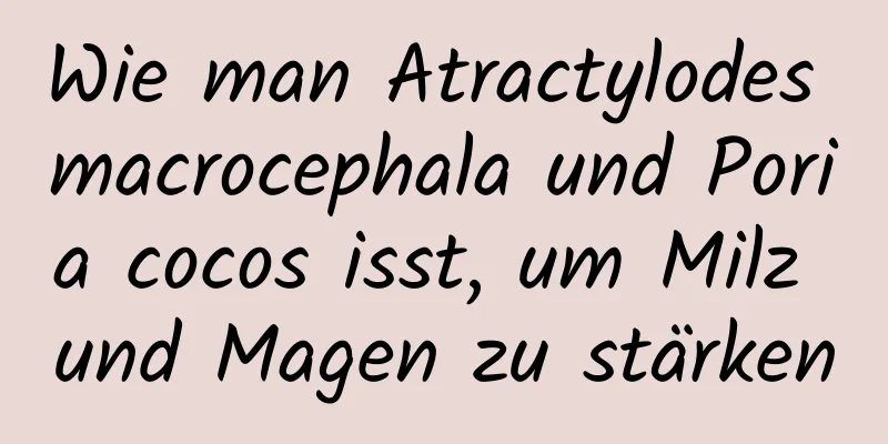 Wie man Atractylodes macrocephala und Poria cocos isst, um Milz und Magen zu stärken