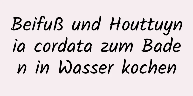 Beifuß und Houttuynia cordata zum Baden in Wasser kochen