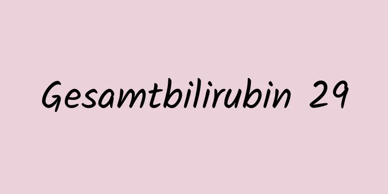Gesamtbilirubin 29