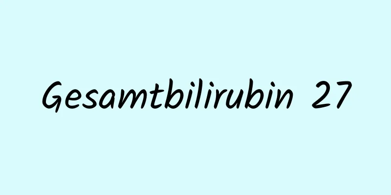 Gesamtbilirubin 27