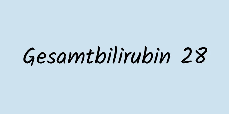 Gesamtbilirubin 28