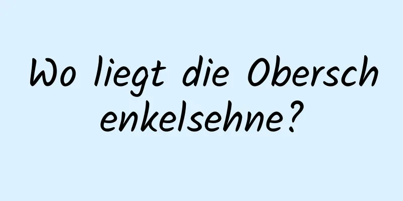 Wo liegt die Oberschenkelsehne?