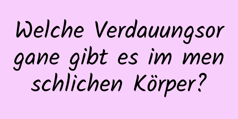 Welche Verdauungsorgane gibt es im menschlichen Körper?