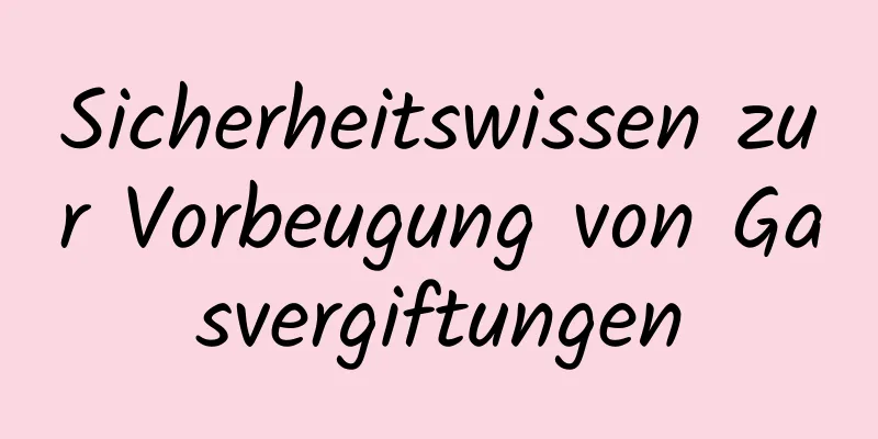 Sicherheitswissen zur Vorbeugung von Gasvergiftungen