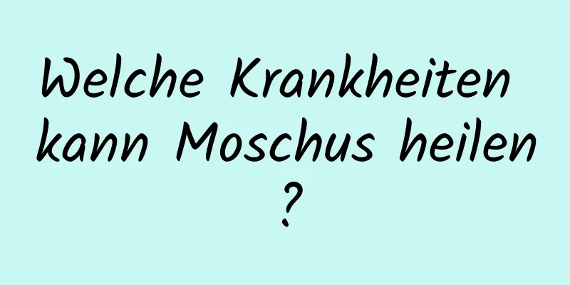 Welche Krankheiten kann Moschus heilen?