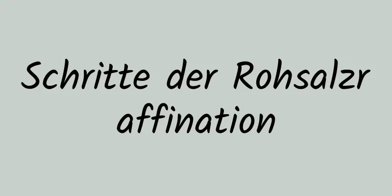 Schritte der Rohsalzraffination