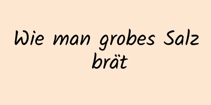 Wie man grobes Salz brät