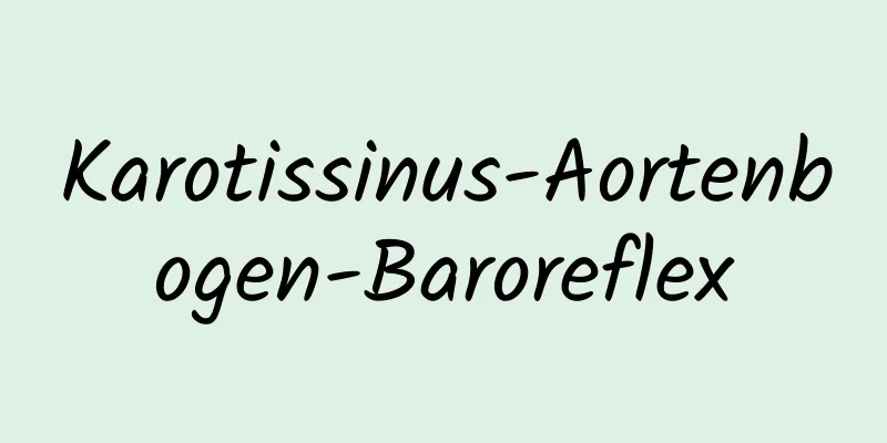 Karotissinus-Aortenbogen-Baroreflex