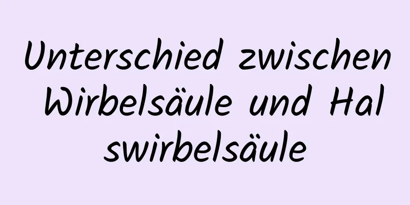 Unterschied zwischen Wirbelsäule und Halswirbelsäule