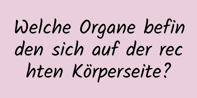 Welche Organe befinden sich auf der rechten Körperseite?