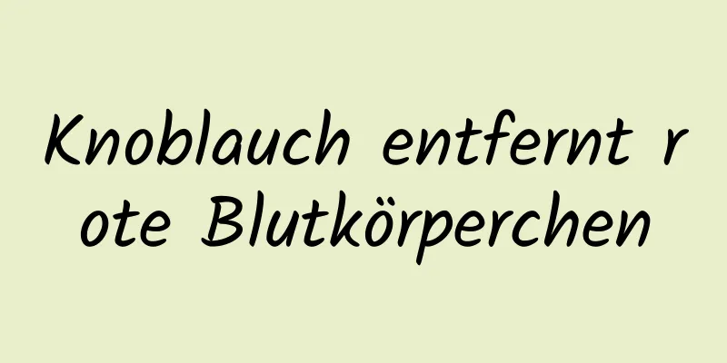 Knoblauch entfernt rote Blutkörperchen