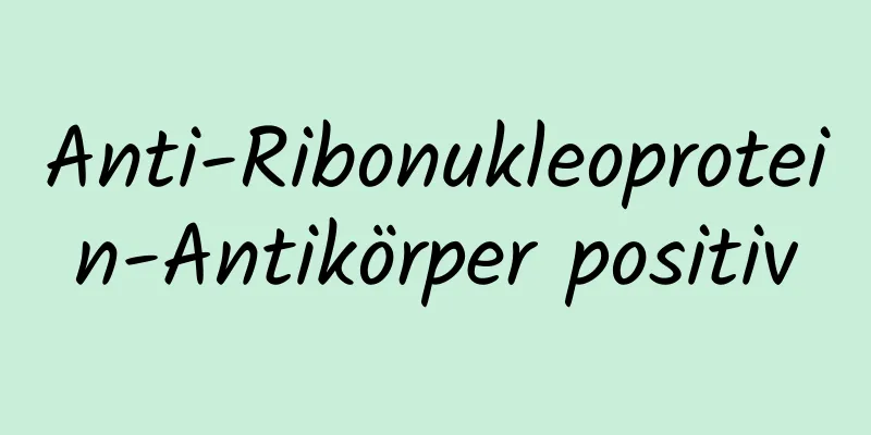 Anti-Ribonukleoprotein-Antikörper positiv