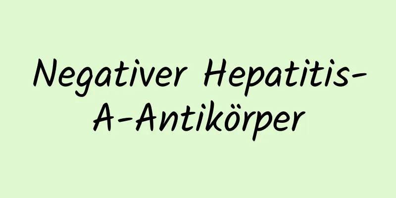 Negativer Hepatitis-A-Antikörper