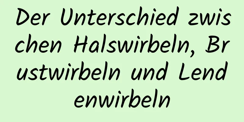 Der Unterschied zwischen Halswirbeln, Brustwirbeln und Lendenwirbeln