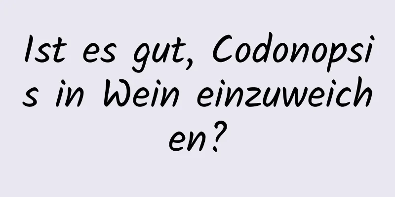 Ist es gut, Codonopsis in Wein einzuweichen?