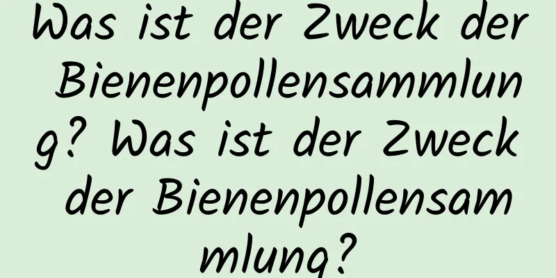 Was ist der Zweck der Bienenpollensammlung? Was ist der Zweck der Bienenpollensammlung?
