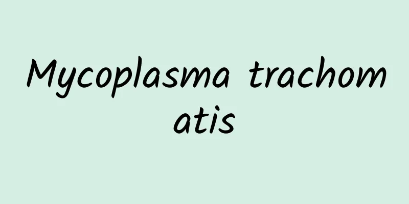 Mycoplasma trachomatis