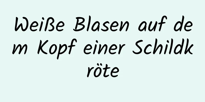 Weiße Blasen auf dem Kopf einer Schildkröte