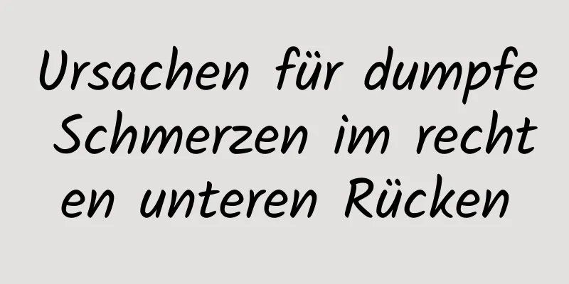 Ursachen für dumpfe Schmerzen im rechten unteren Rücken