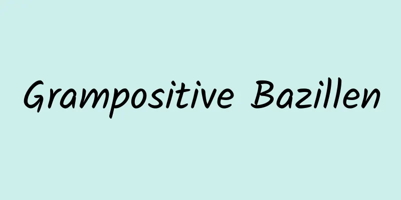 Grampositive Bazillen