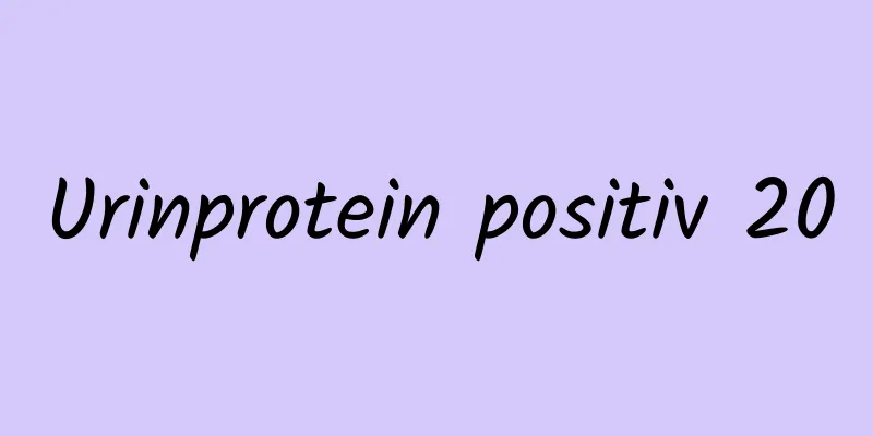 Urinprotein positiv 20