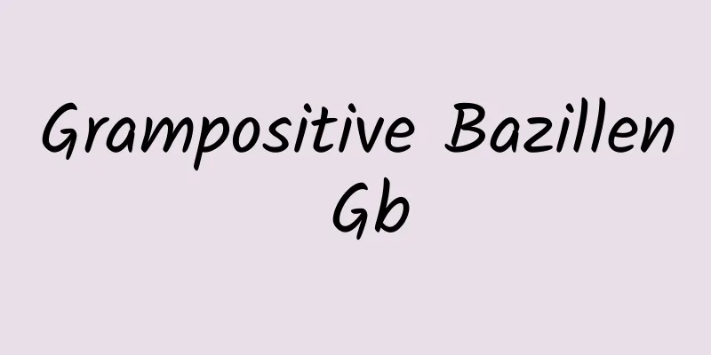 Grampositive Bazillen Gb