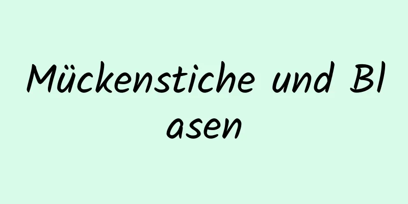 Mückenstiche und Blasen