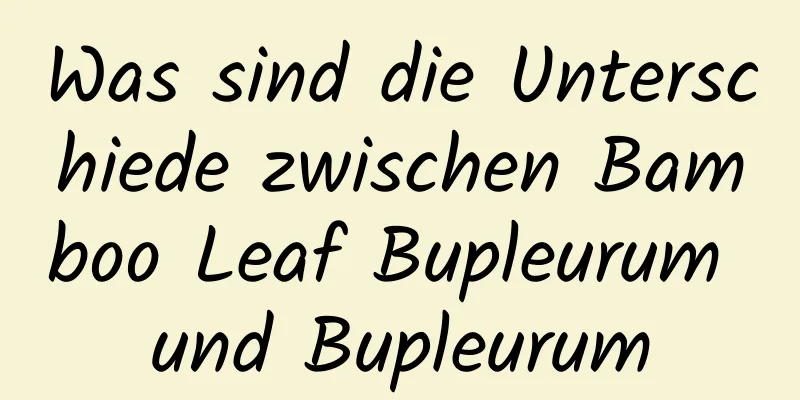 Was sind die Unterschiede zwischen Bamboo Leaf Bupleurum und Bupleurum