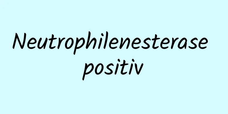 Neutrophilenesterase positiv