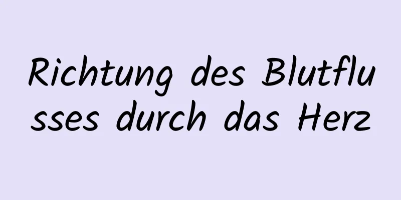 Richtung des Blutflusses durch das Herz