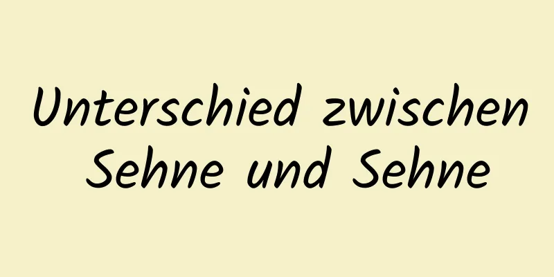 Unterschied zwischen Sehne und Sehne