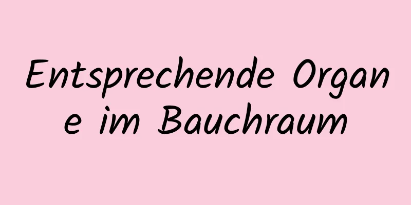 Entsprechende Organe im Bauchraum