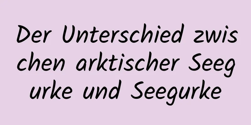 Der Unterschied zwischen arktischer Seegurke und Seegurke