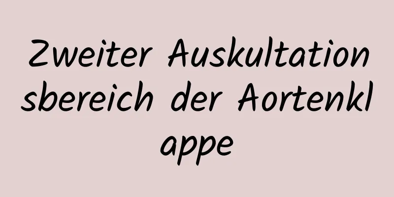 Zweiter Auskultationsbereich der Aortenklappe
