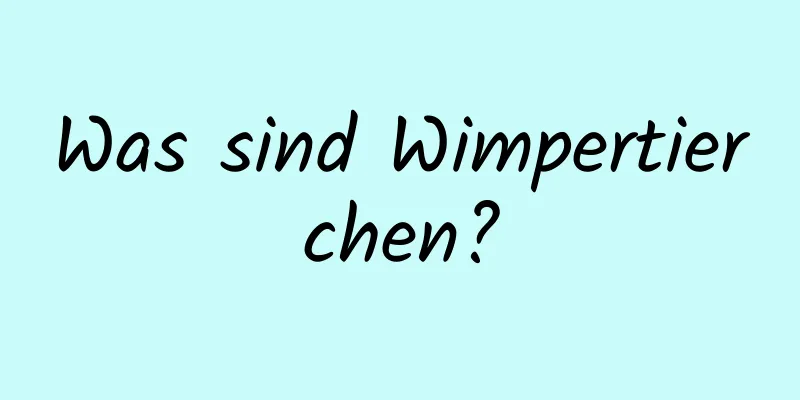 Was sind Wimpertierchen?