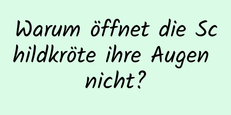 Warum öffnet die Schildkröte ihre Augen nicht?