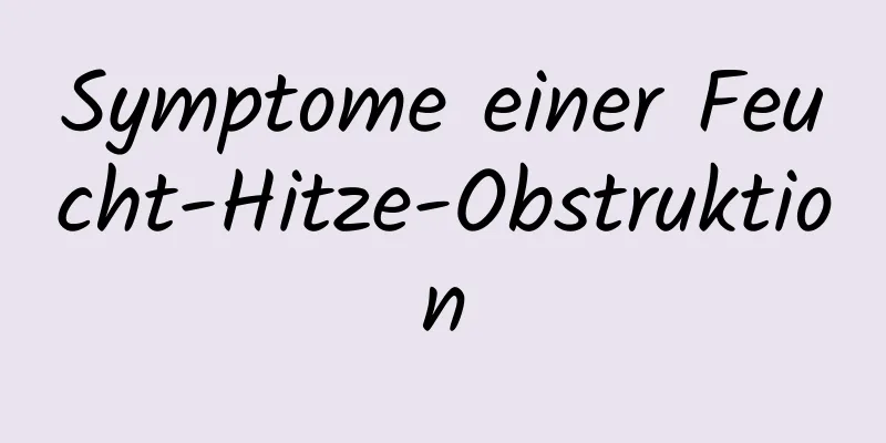 Symptome einer Feucht-Hitze-Obstruktion