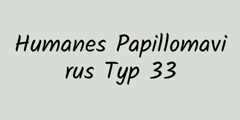 Humanes Papillomavirus Typ 33