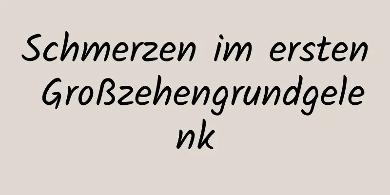 Schmerzen im ersten Großzehengrundgelenk