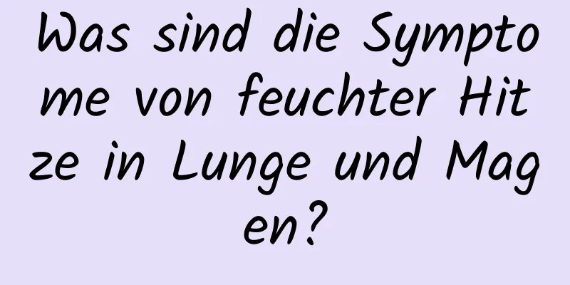 Was sind die Symptome von feuchter Hitze in Lunge und Magen?